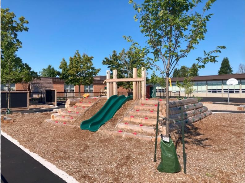 Image of Odessa PS naturalized climber steps and slide