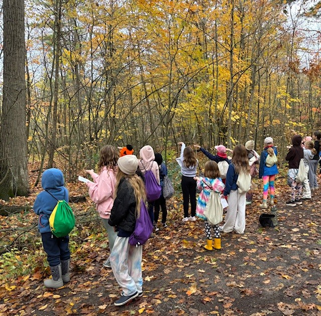 A group of students looking at the trees at Lemoine Point in autumn 2025